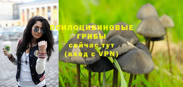 ешки Заводоуковск